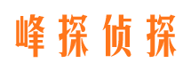 平安市婚外情调查